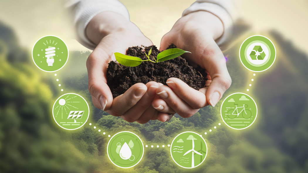 SQM Club: Empowering Everyday Environmental Action SQM Club: Empowering Everyday Environmental Action