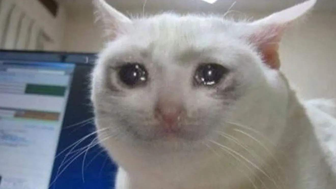 The Crying Cat Meme: A Heartfelt Symbol of Internet Emotions The Crying Cat Meme: A Heartfelt Symbol of Internet Emotions